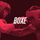 boxe-2eme-semestre-2014